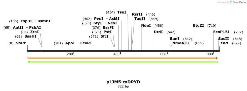 101585_map