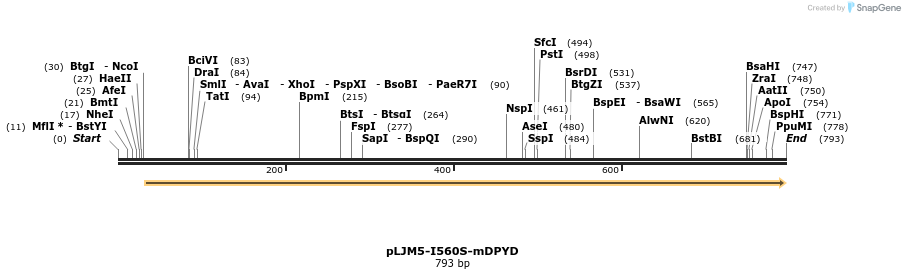 101586_map