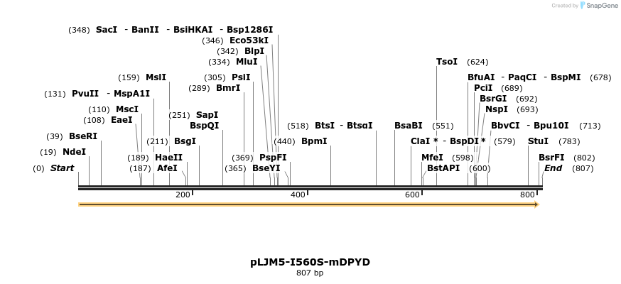 101587_map