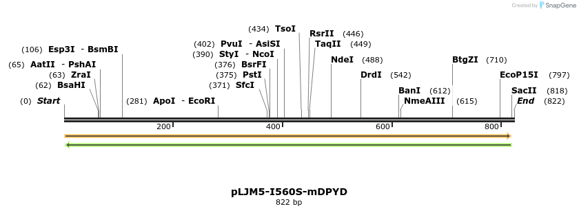 101588_map
