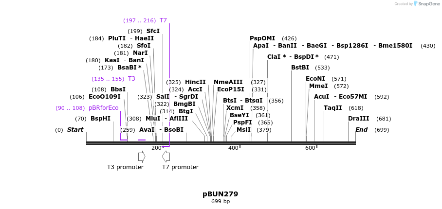 101609_map