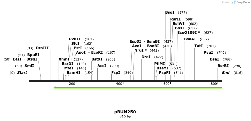 101610_map