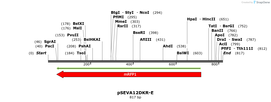 101612_map