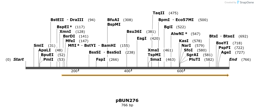 101613_map
