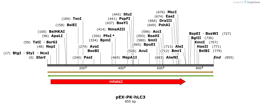 101622_map