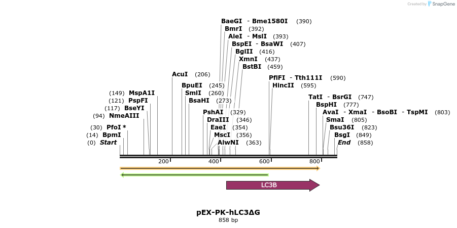 101625_map