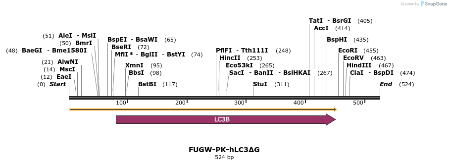 101630_map