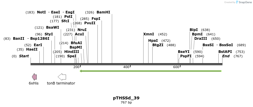 101638_map