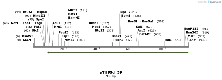 101639_map