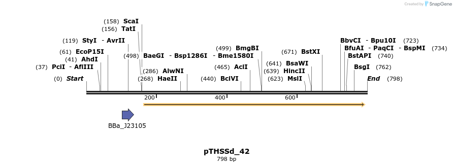 101640_map