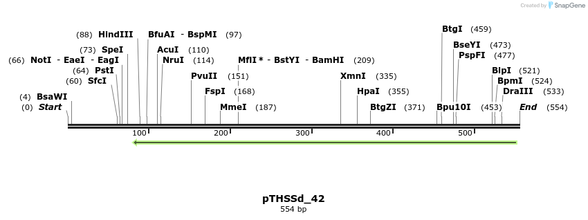101642_map