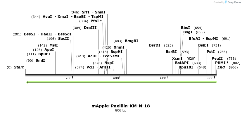 101650_map