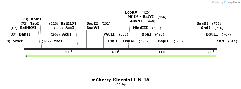 101651_map