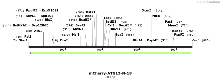 101654_map