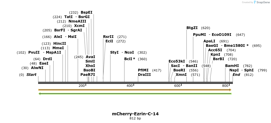 101655_map