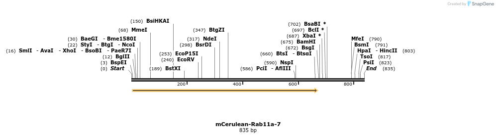 101661_map