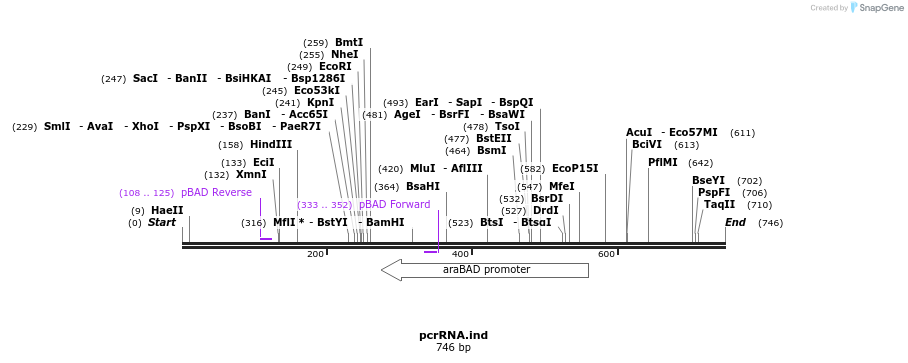 101668_map
