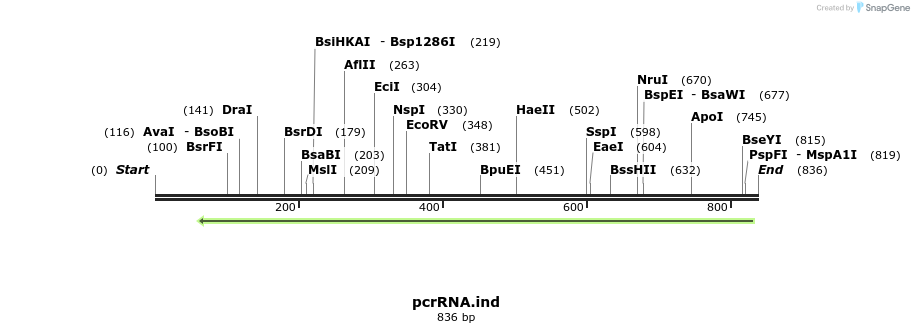 101671_map