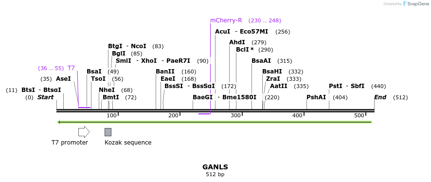 101672_map