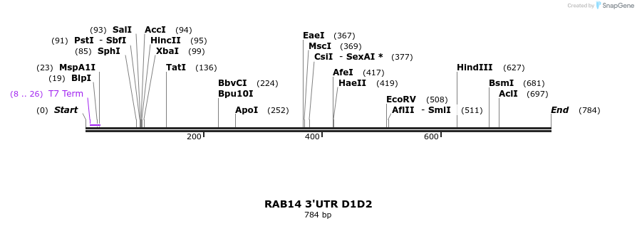 101683_map
