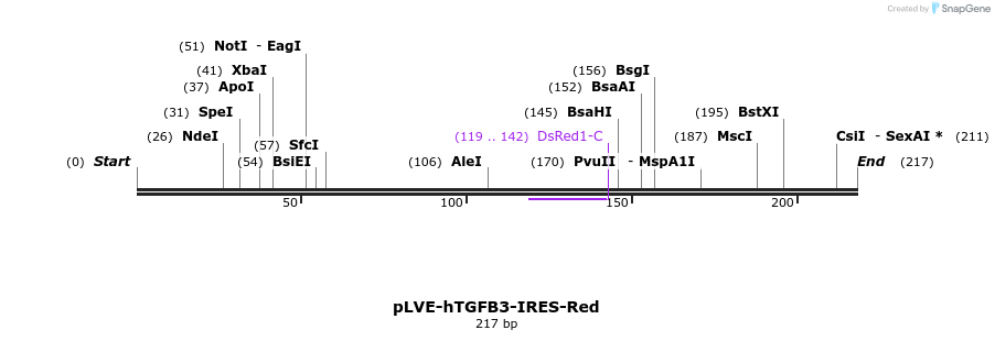 101685_map