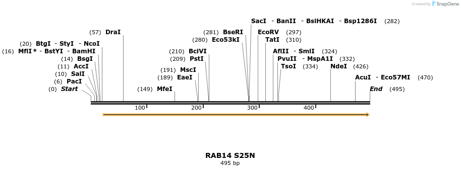 101689_map
