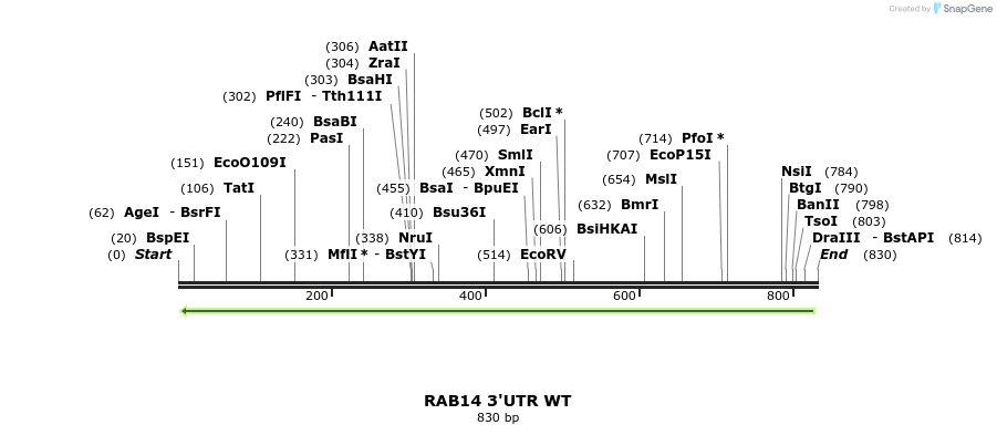 101693_map