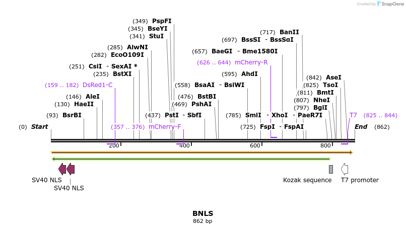 101695_map