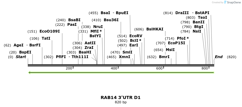 101696_map