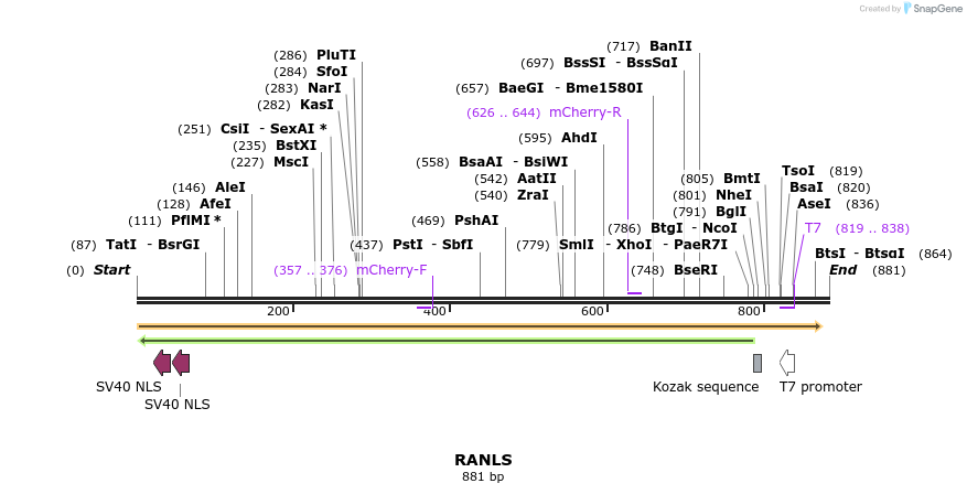 101702_map