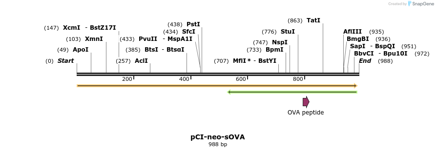 101708_map