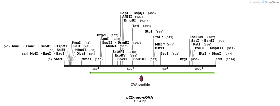 101712_map