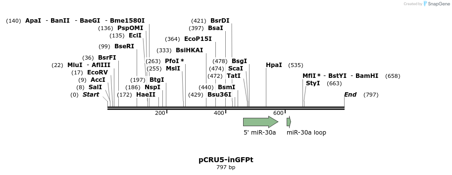 101713_map