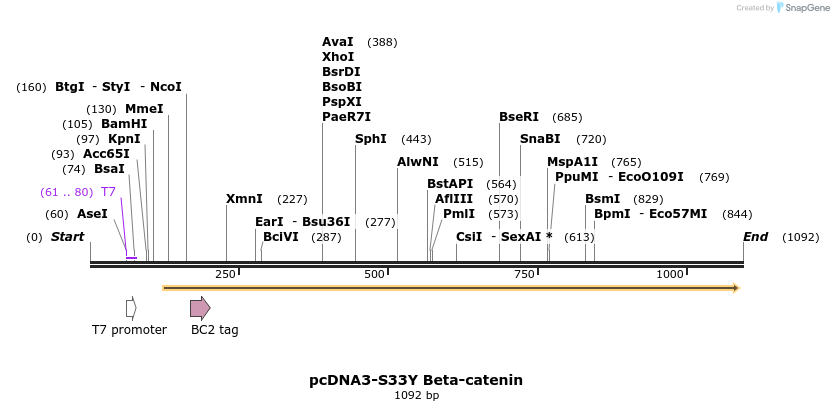 101715_map
