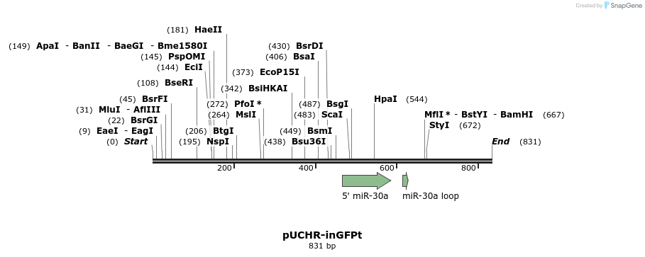 101717_map
