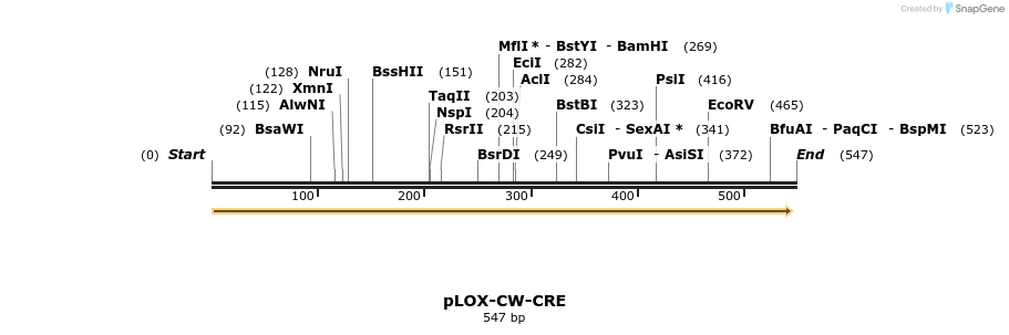 101733_map
