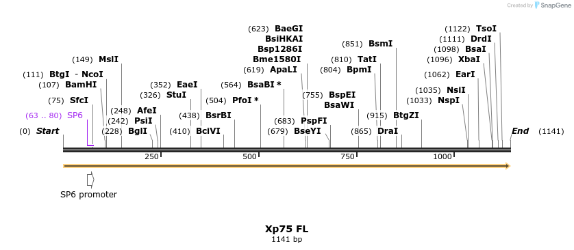101748_map
