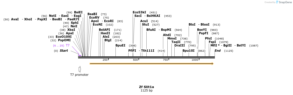 101749_map
