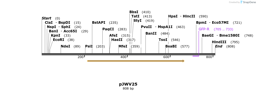 101754_map