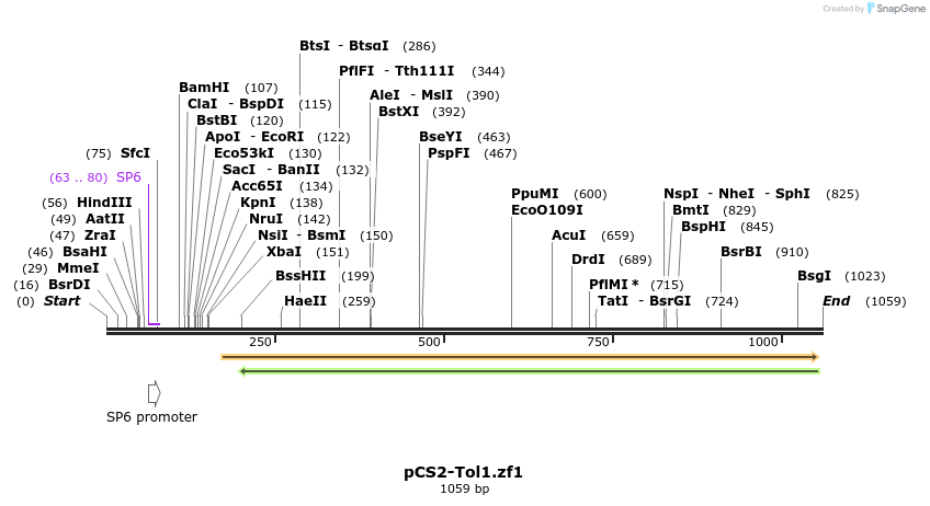 101756_map