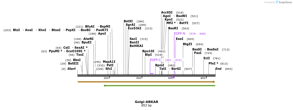 101759_map