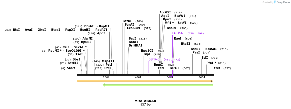 101761_map