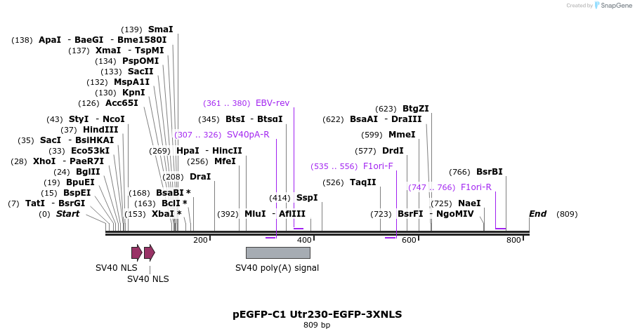 101781_map
