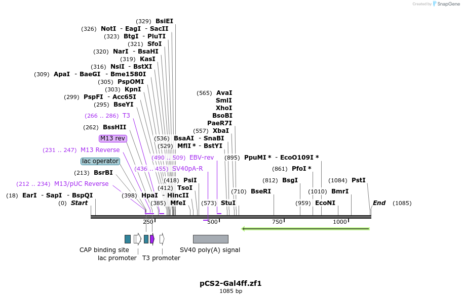 101785_map