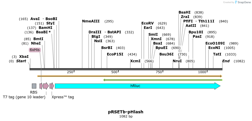 101787_map