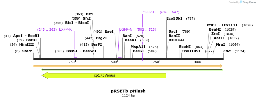 101788_map
