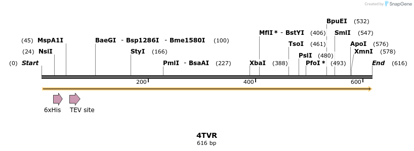 101790_map