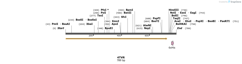 101791_map