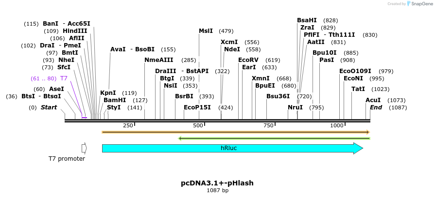 101796_map