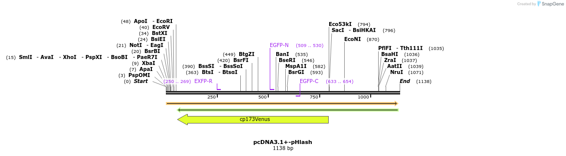 101797_map